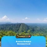 sumber: wild.wildthings