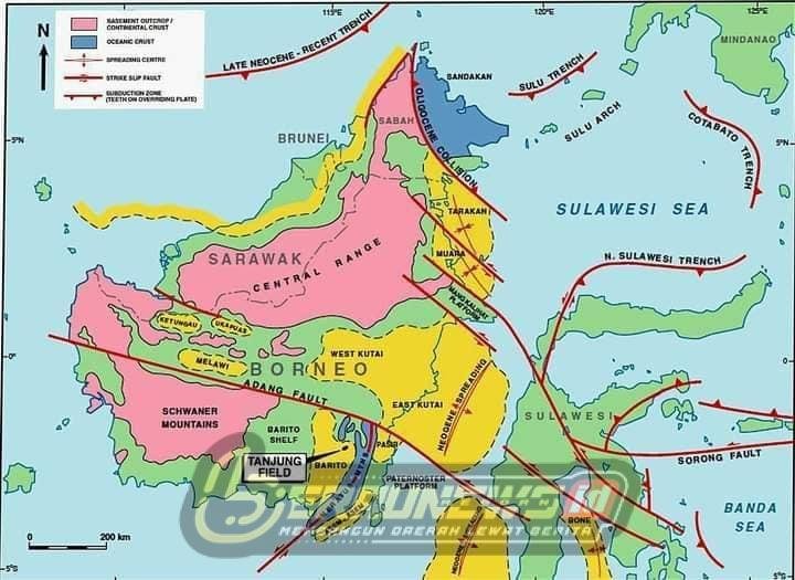 Berau Diguncang 21 Gempa Susulan, BMKG: Sesar Mangkalihat Jadi Pemicu
