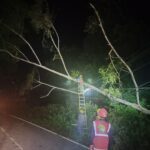 Lewat Deadline Masih Byarpet, PLN Sebut Mesin Baru OTW Berau
