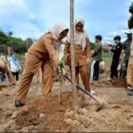 Program Intensifikasi Lada di Berau, Kukar, dan Balikpapan: Disbun Kaltim Bantu Ratusan Hektare Lahan