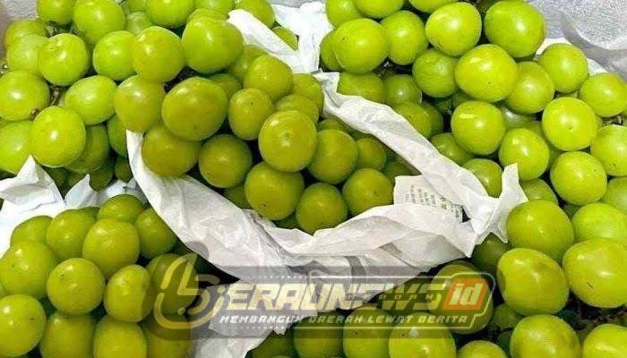 Anggur Muscat Viral Diduga Mengandung Residu Kimia Berbahaya, DPRD Berau Dorong Pengawasan