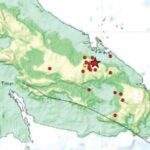 BMKG Berau Catat Dua Kali Gempa di Awal Tahun 2025 