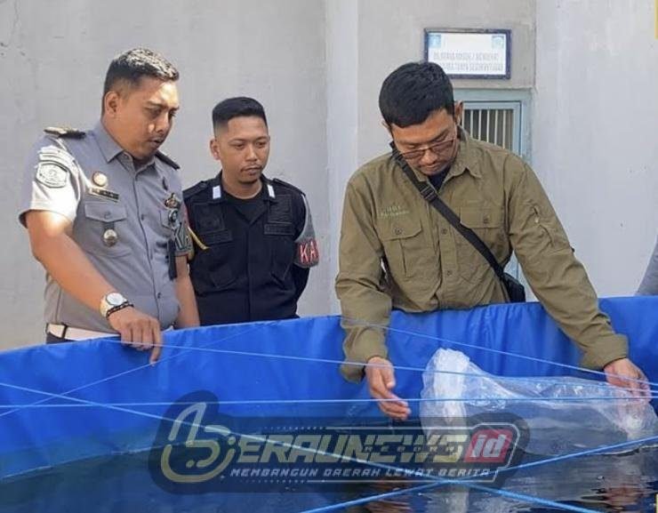Budidaya Ikan Lele di Rutan Tanjung Redeb: Program Pembinaan dan Ketahanan Pangan bagi Warga Binaan