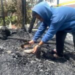 Skripsi Terbakar, Kampus Beri Kelonggaran Bagi Mahasiswa Korban Kebakaran