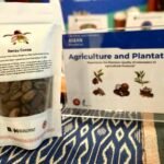 Berau Harus Bangun Industri Pasca Tambang, Maksimalkan Potensi Sawit dan Kakao