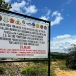 Satgas PKH Segel 10 Ribu Hektare Sawit Ilegal, di Kawasan Hutan Industri Berau