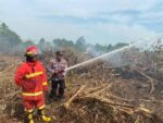 Lebih dari 100 Titik Panas Terdeteksi di Kaltim, Ini Imbauan BMKG