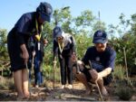 Sri Juniarsih Pastikan Pemerintah Berau Serius Tangani Reboisasi dan Tolak Praktik Ilegal