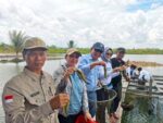 Berau Terapkan Skema 80-20, Tambak Udang Windu Ramah Lingkungan di Pegat Betumbuk