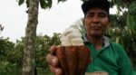 Kakao Berau Kembali Ukir Prestasi, Lolos ke Kompetisi Dunia di Italia