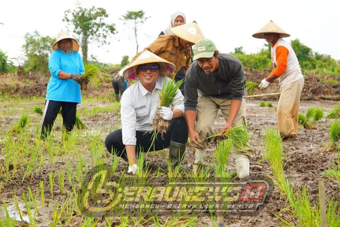 Pentingnya Strategi Ketahanan Bahan Makanan Melalui Pertanian Berau
