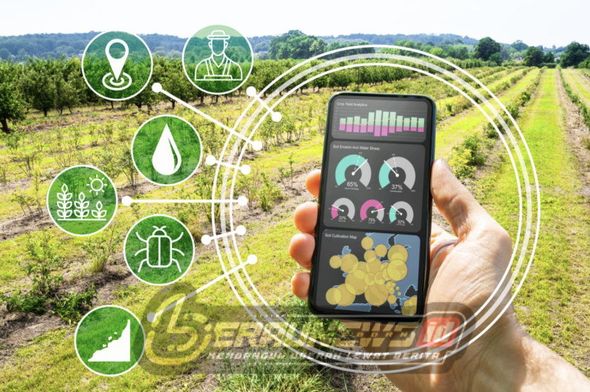 Teknologi Pertanian Jadi Kunci, Berau Siapkan Fondasi Baru Menuju Ketahanan Pangan Mandiri