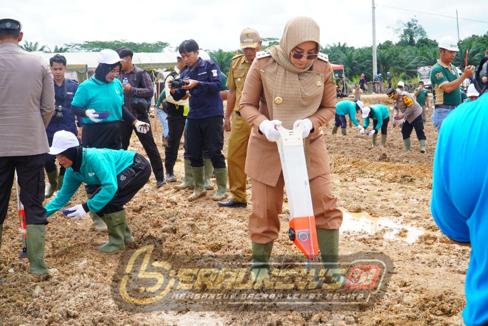 Tingkatkan Nilai Jual Komoditas : Dorong Hilirisasi Jagung Talisayan