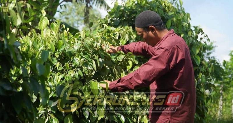 “Smart Plantation Management”, Digitalisasi Disbun Dorong Transparansi, Potensi Kampung, dan Investasi Berkelanjutan