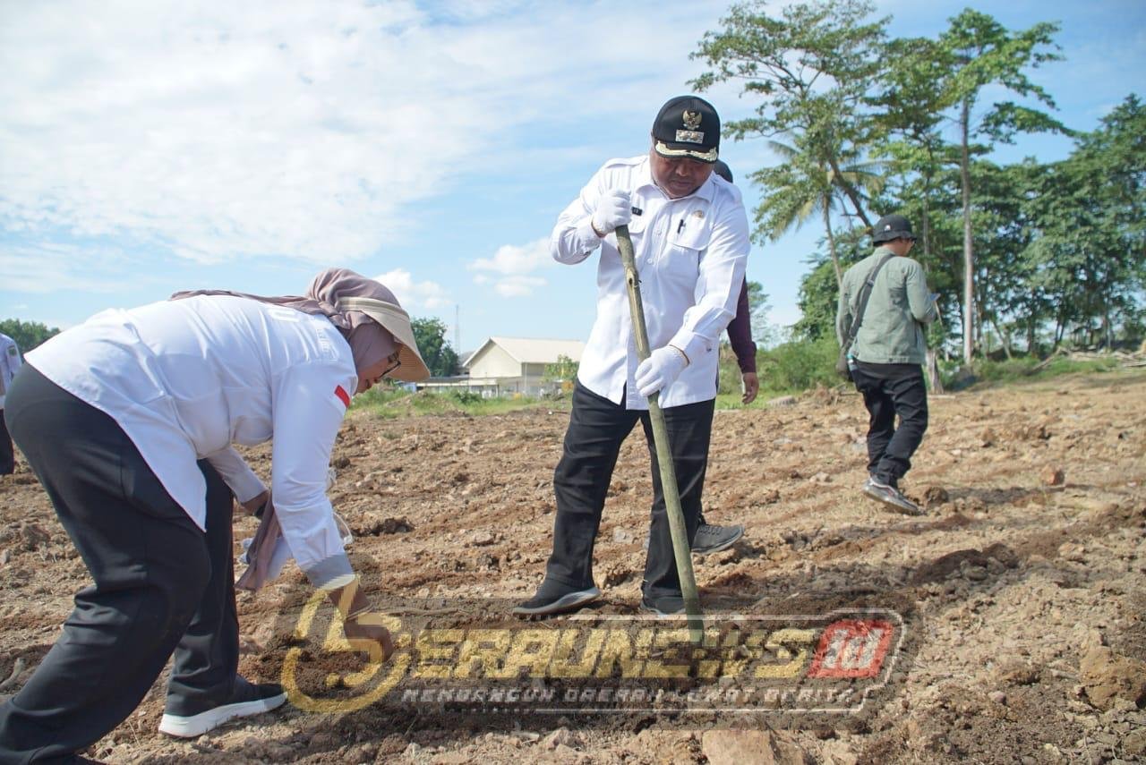 Pemanfaatan Lahan Menganggur: Kemandirian Pangan Berau Harus Dimulai dari Produksi Sendiri