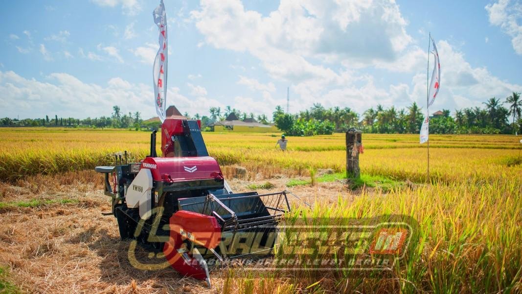 Berau Mantapkan Transisi Ekonomi Hijau Menuju Masa Depan Pasca-Tambang