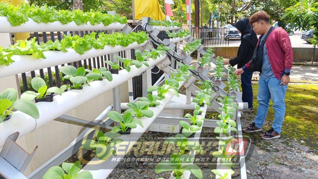 Maratua Mulai Bangun Fondasi Pertanian Berkelanjutan, Peluang Investasi Hijau Makin Terbuka