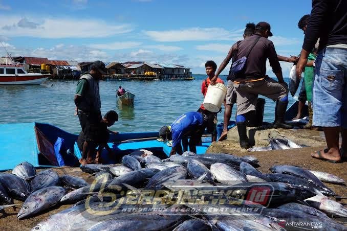 DPRD Berau Desak Percepatan Produksi Perikanan Target 35 Ribu Ton Per Tahun Dinilai Harus Dikejar dengan Strategi Hulu–Hilir