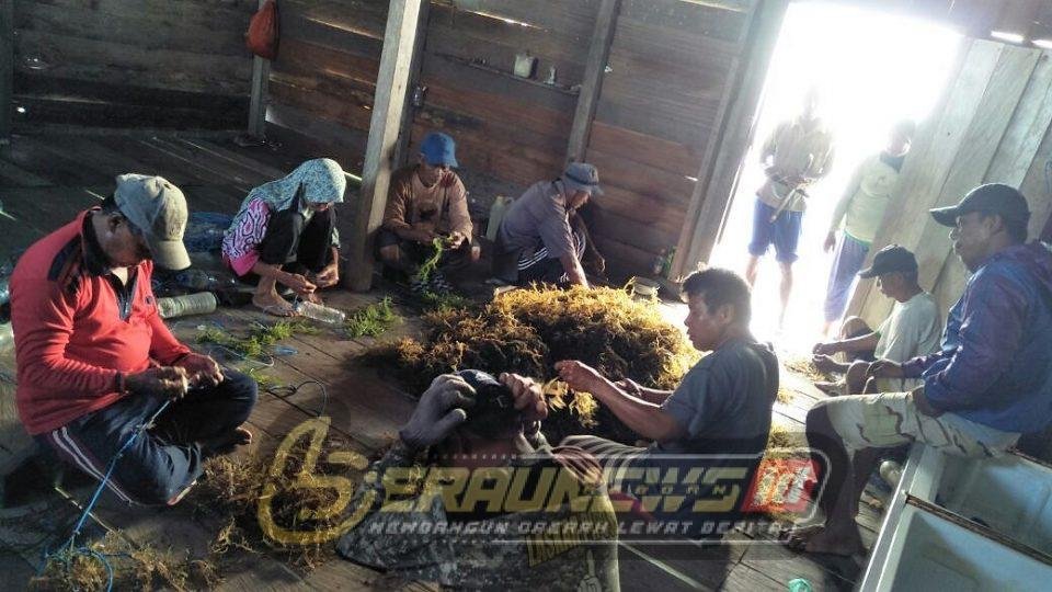 Sumber Agung Dorong UMKM Bahari