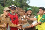 Kampung Pegat Bukur Siap Gelar Lomba Perahu Naga Kelas 10 Sambut Nataru 2026
