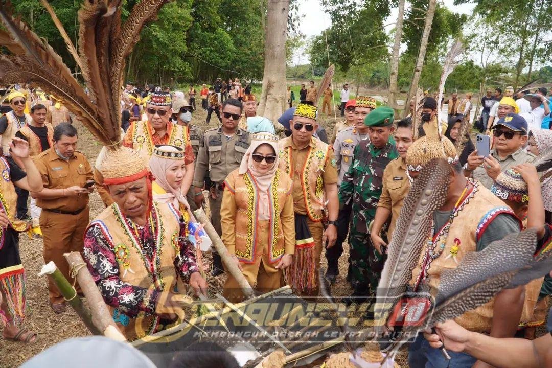 Ketika Leluhur Menuntun Alam: Manugal Dayak Merabu Pikat Wisatawan