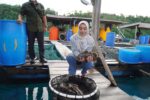 Potensi 2.000 Hektare Perairan Berau Jadi Andalan Ekonomi Biru