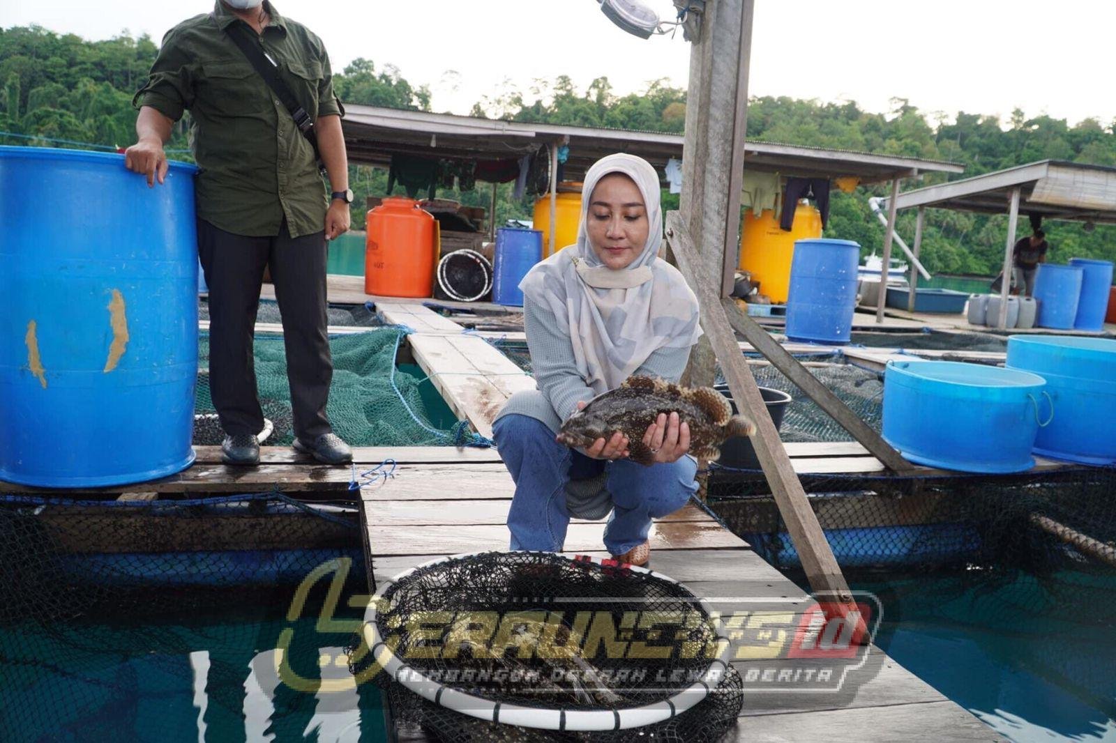 Potensi 2.000 Hektare Perairan Berau Jadi Andalan Ekonomi Biru