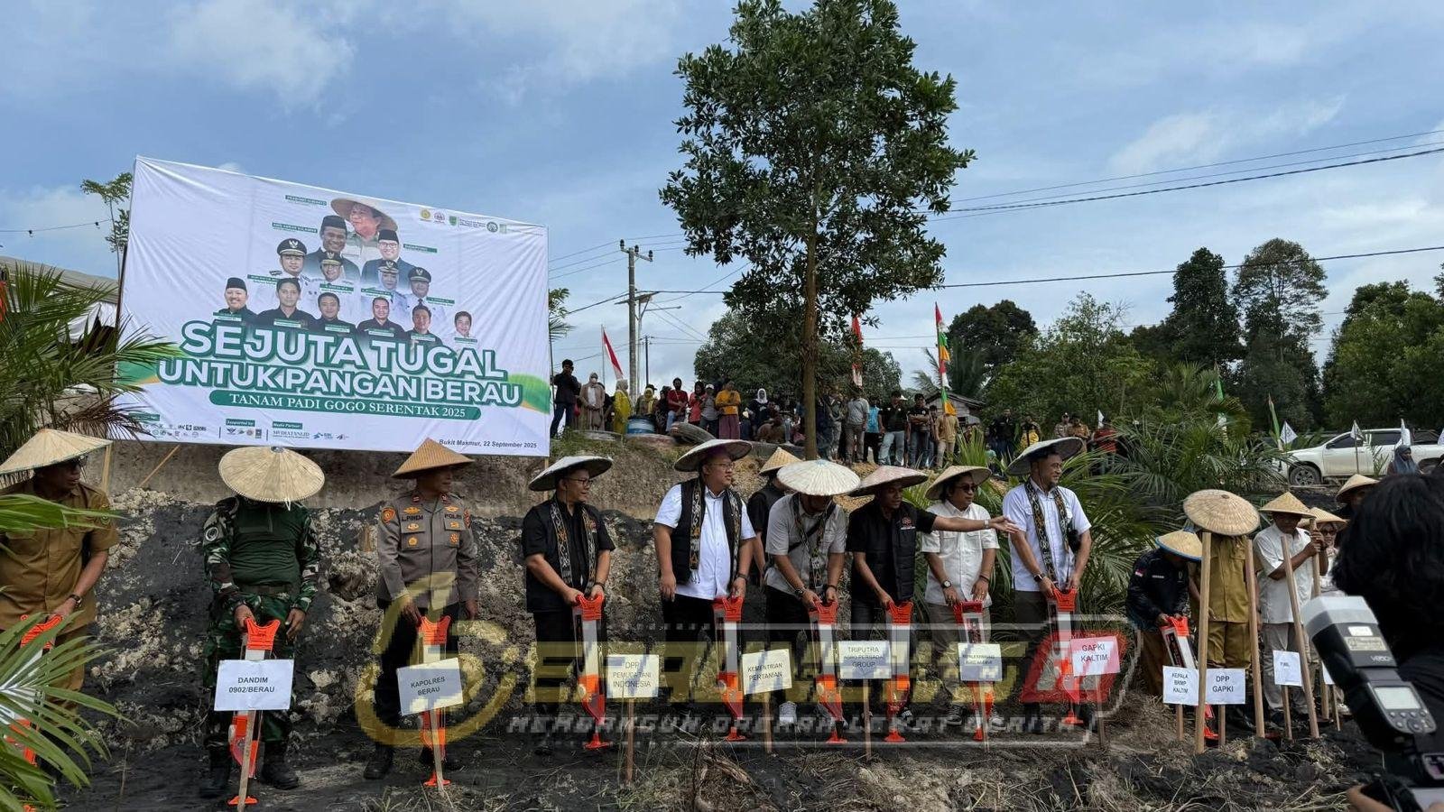 daerah.  Padi Gogo Jadi Komoditas Strategis Berau, Optimalisasi Lahan Perkebunan Dorong Ketahanan Pangan dan Ekonomi Kampung