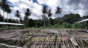 Industri Rotan Dinilai Menjanjikan, DPRD Berau Minta Pembinaan dan Pemasaran Diperkuat untuk Libatkan Pemuda