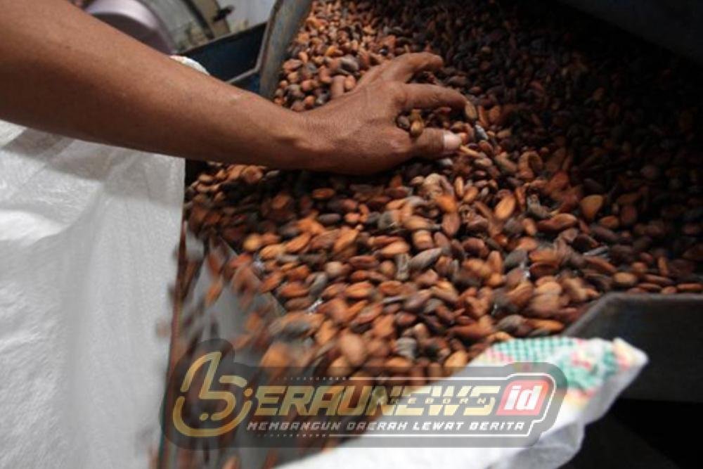 Dari Perhutanan Sosial hingga Produk Premium Single Origin