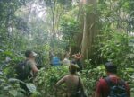 Dana Karbon untuk Kampung: Madu Kelulut dan Kompos Jadi Mesin Ekonomi Hijau Berau
