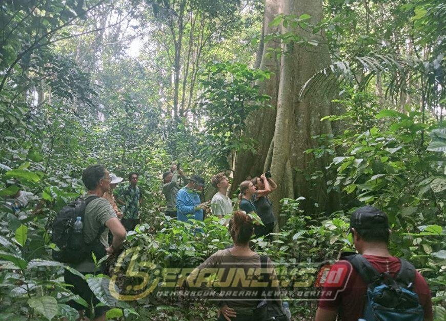 Dana Karbon untuk Kampung: Madu Kelulut dan Kompos Jadi Mesin Ekonomi Hijau Berau