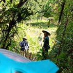 123 Desa di Kaltara Masih Gelap, Pemerintah Kejar Elektrifikasi Wilayah Terisolasi