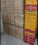 Agen Naikkan Harga Saat Ramadan, Penjual Telur Lokal Pilih Tak Ikut Naik