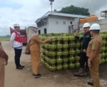 LPG Sempat Langka di Berau, Ternyata Ini Penyebab Sebenarnya