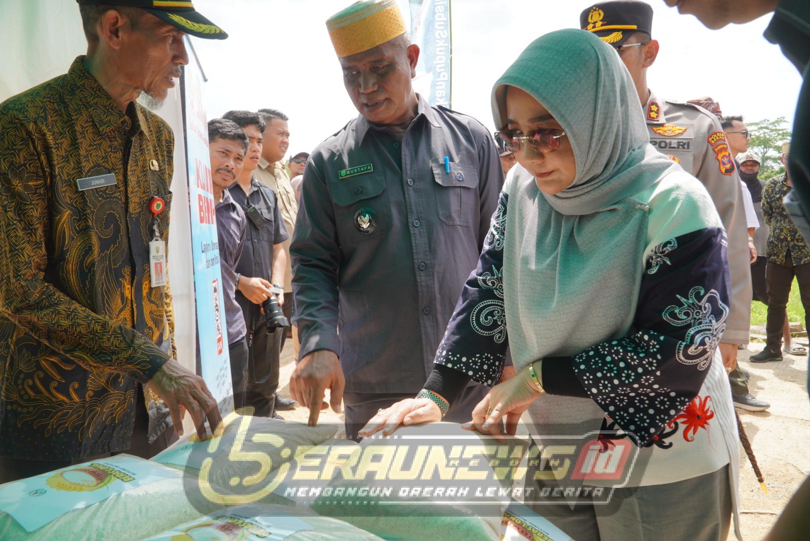 Kemarau Diprediksi Panjang, Berau Laporkan Upaya Mitigasi dan Kendala Lahan Terdampak Intrusi Air Laut