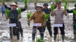 Cetak Sawah Berau Diperluas, Produksi Pangan Digenjot