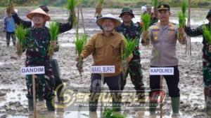 Cetak Sawah Berau Diperluas, Produksi Pangan Digenjot
