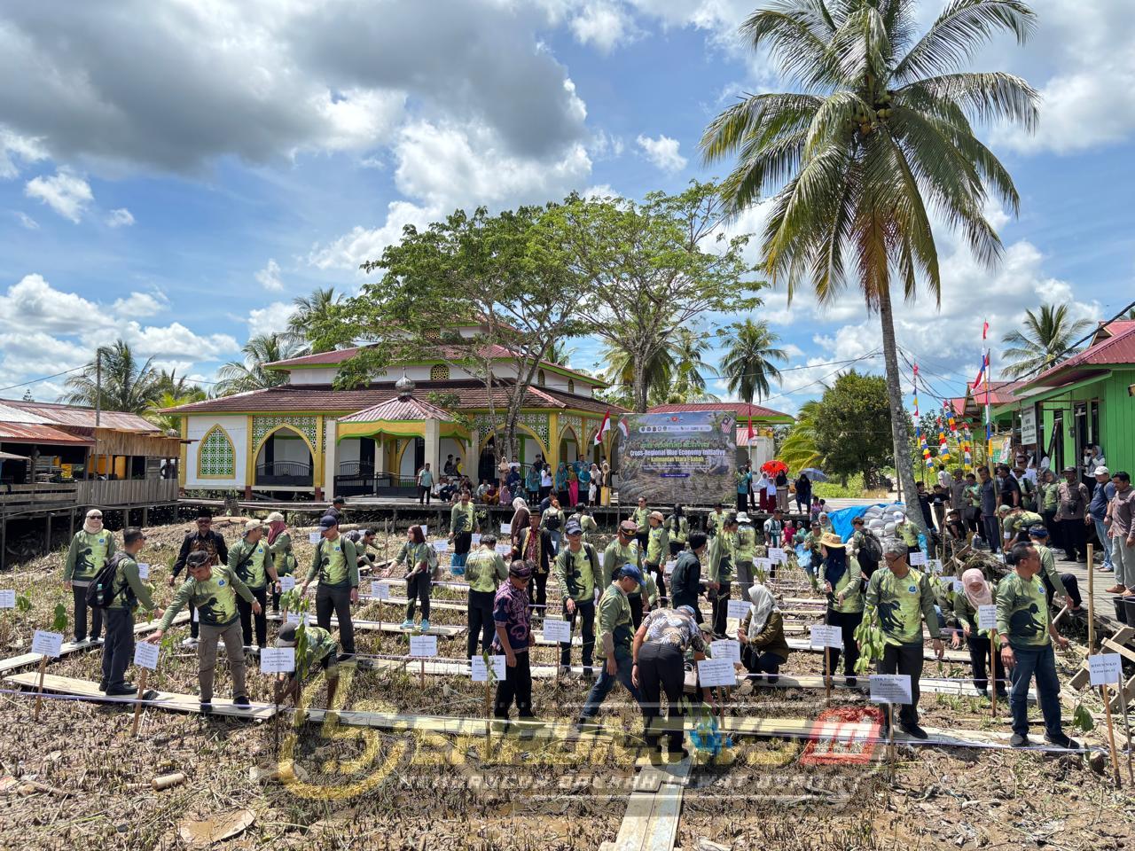 33 Ribu Hektare Mangrove Kaltara Disiapkan Jadi Proyek Ekonomi Biru