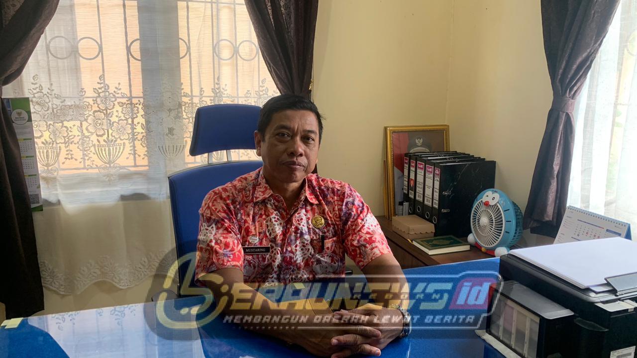 Gagal Diangkat, Ratusan Guru Honorer Berau Bertahan dengan Skema Darurat Disdik