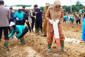 Beras 100 Ton, Jagung 1.000 Ton: Strategi Berau Redam Gejolak Harga Pangan