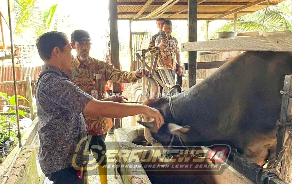 MUI: Kurban Presiden Lewat APBN untuk Kepentingan Masyarakat dan Sah Secara Syar’i