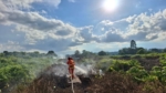 Akibat Pembukaan Lahan, Kurang Lebih Satu Hektare Lahan di sambaliung Hangus Terbakar