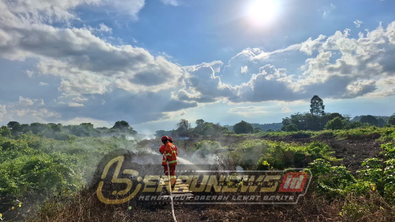 Akibat Pembukaan Lahan, Kurang Lebih Satu Hektare Lahan di sambaliung Hangus Terbakar