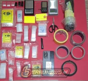 Polisi Tangkap Pria Terduga Pengedar Sabu di Gunung Panjang