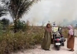 Berau Masuk Wilayah Rawan Karhutla, BPBD Kaltim Tingkatkan Kewaspadaan Jelang Puncak Kemarau