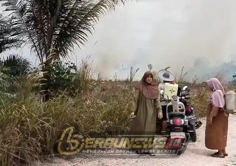 Berau Masuk Wilayah Rawan Karhutla, BPBD Kaltim Tingkatkan Kewaspadaan Jelang Puncak Kemarau