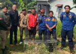 Tak Sanggup Rawat, Warga Berau Laporkan Anak Beruang Madu ke Petugas