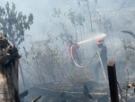 Bakar Lahan Demi Tanam Sawit, Api Lepas Kendali dan Kerugian Tembus Rp1,2 Miliar