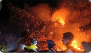 Suhu Berau 36 Derajat, BMKG Minta Kaltim Tak Lengah Hadapi Karhutla